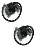 The ROP Shop (2) Ignition MODULES COILS Briggs & Stratton Intek V-Twin Engines 799651 691060